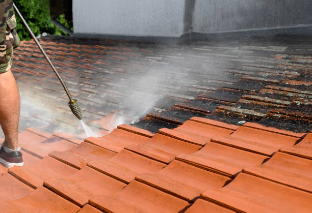 Best Roof Pressure Washing  in Middleport, NY
