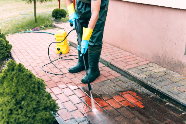 Best Roof Pressure Washing  in Middleport, NY